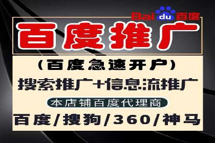 某行业巨头如何利用百度推广服务费提升业绩